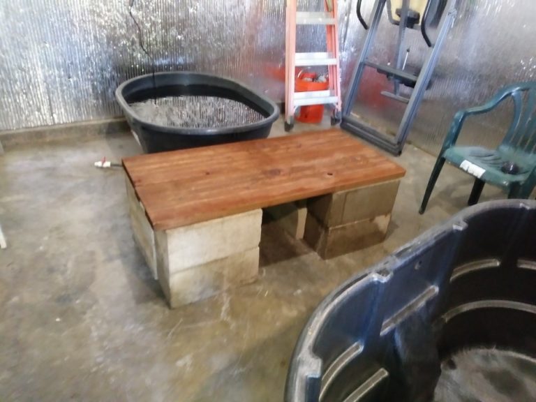 best aquaponics fish tank for an indoor aquaponics system