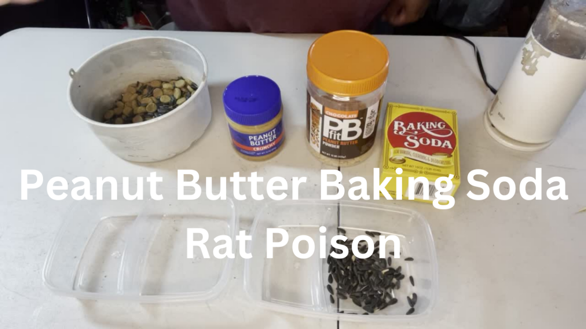 Peanut Butter Baking Soda Rat Poison