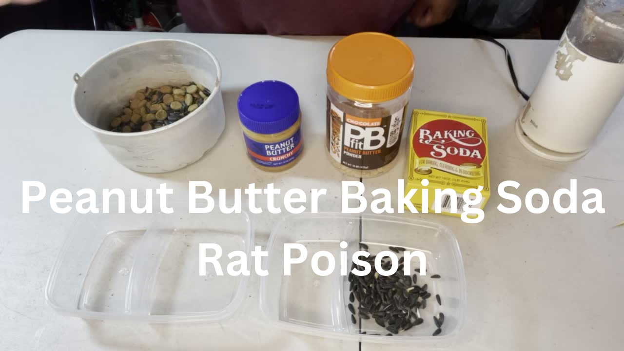 Peanut Butter Baking Soda Rat Poison - Rabbit Meat For Sale Online