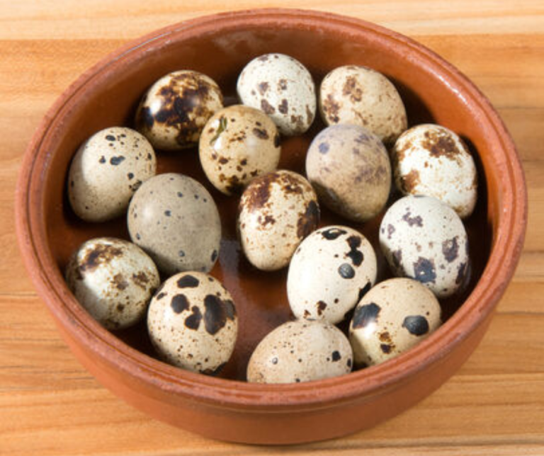 Buy Quail Eggs (Shipping) Online Rabbit Meat For Sale Online