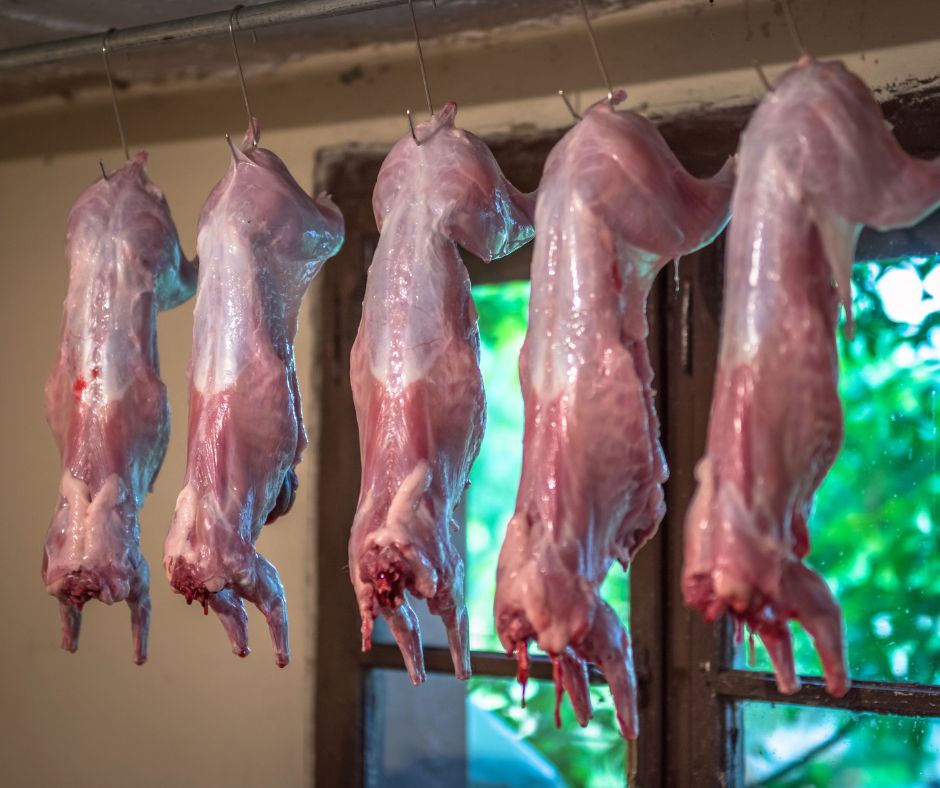 Raw Rabbit Meat: Nutritional Profile and Safe Handling Practices