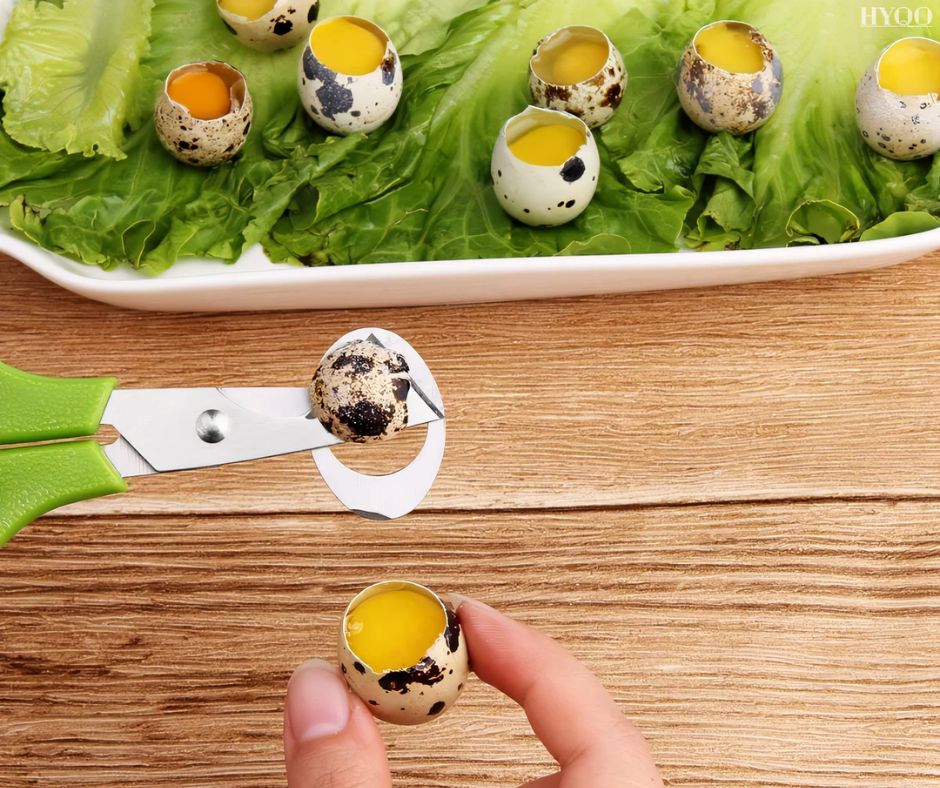 How to Use a Quail Egg Cutter