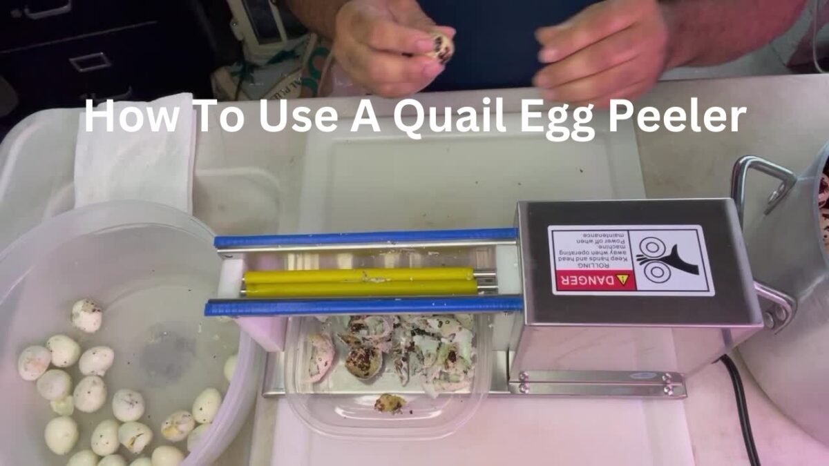 How To Use A Quail Egg Peeler